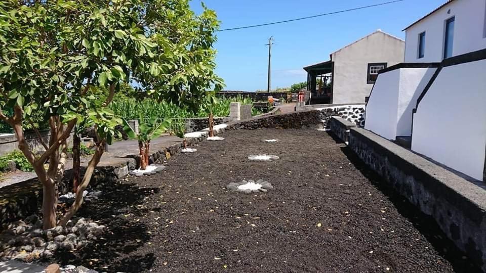 Azores Black Mountain House, Estudio E T2 Ilha Do Pico São Roque do Pico エクステリア 写真